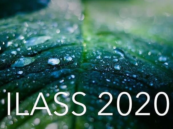 30<sup>th</sup> ILASS-Europe 2020