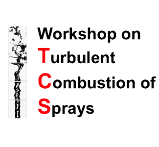 9th International Workshopon the Turbulent Combustion of Sprays (TCS-9)