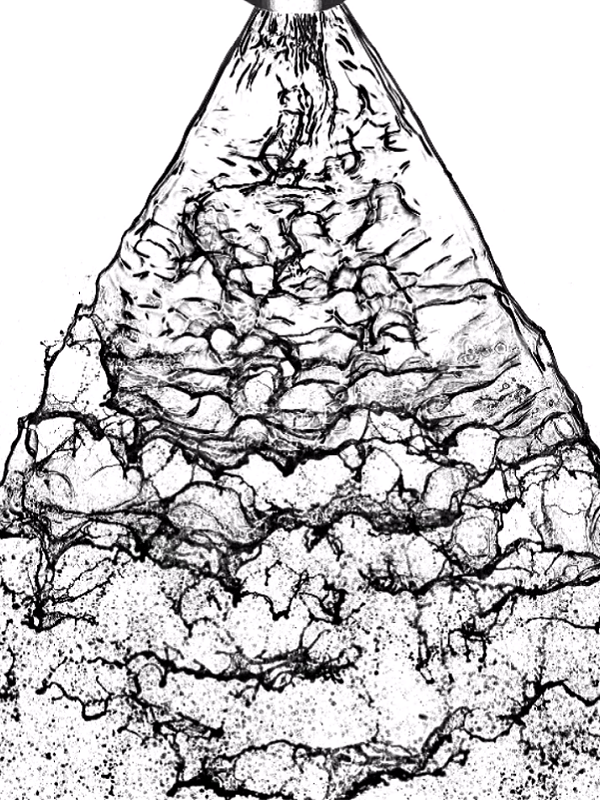 Fig1_600x800