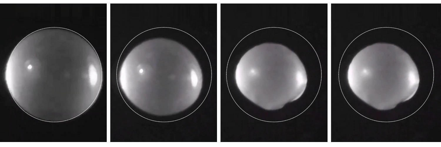 Fig2