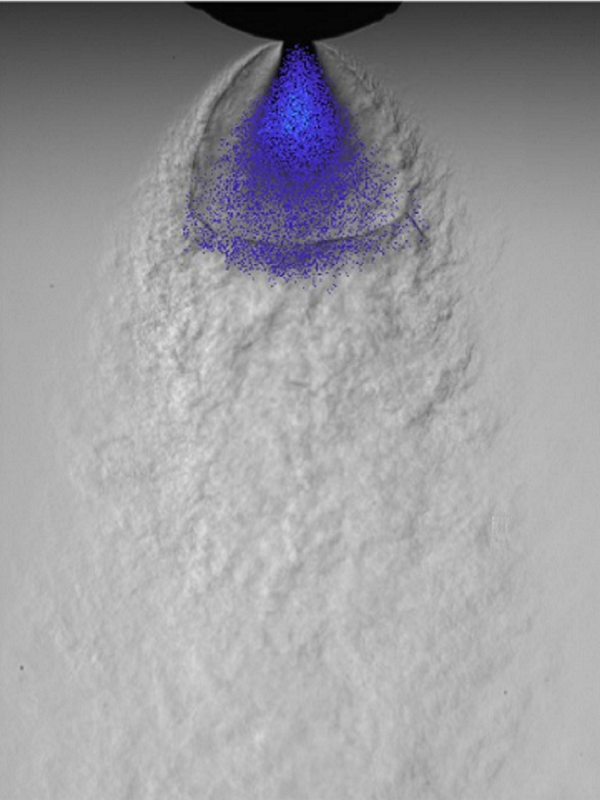 Fig7_600x800